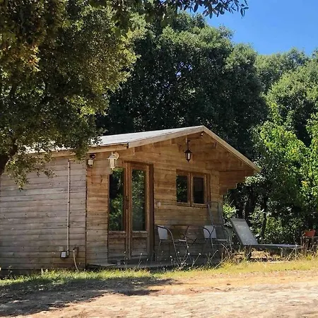 Ma Petite Des Oliviers Chalet