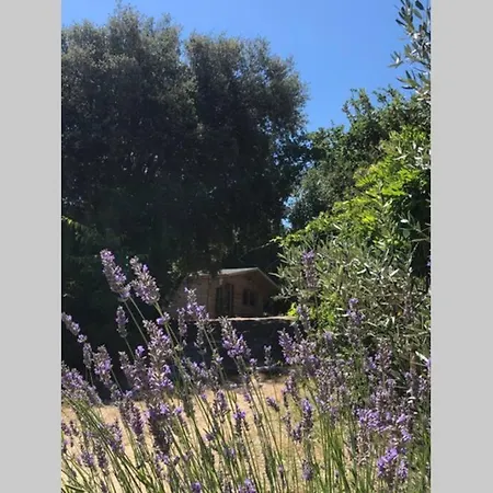 Ma Petite Des Oliviers * La Roque-sur-Cèze