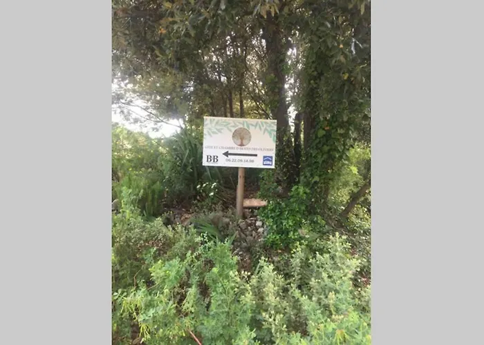 Ma Petite Des Oliviers Chalet *